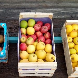 Pomme le mélange du Moment