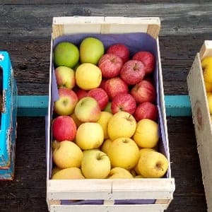 Pomme le mélange du Moment