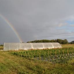 Ah mais des légumes bio #8