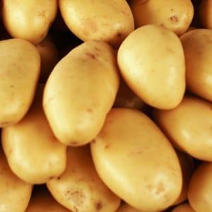Pommes de terre blanches