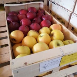 Pommes Le Mélange Bio