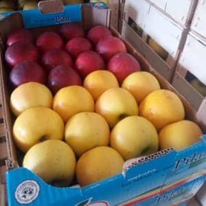Pommes Le Mélange Bio