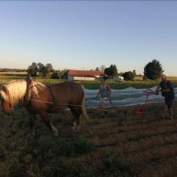 Ferme de Tourenne #3