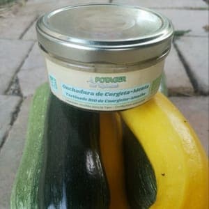 Tartinade Courgette/Menthe
