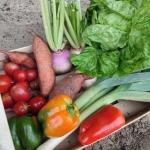 Panier de légumes