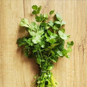 Aromatique : Coriandre en bouquet