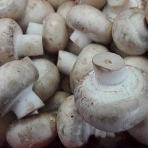 Champignon de Paris