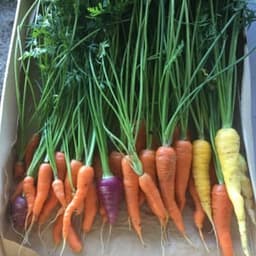 Herb' O Jardin #8
