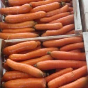 CAROTTES 2kg