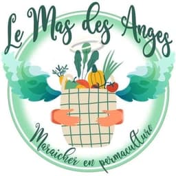 Logo de Mas des Anges