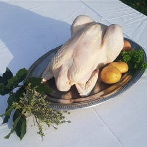 POULET Bio prêt à cuire