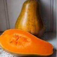 Courges Sucrine du Berry (Aigue Vive)