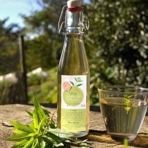 Sirop de verveine citronnée