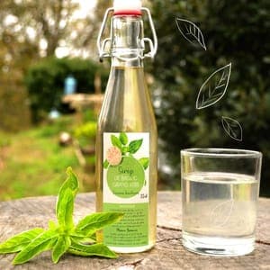 Sirop de Basilic Grand vert