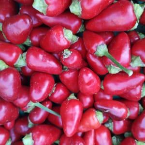 Piment