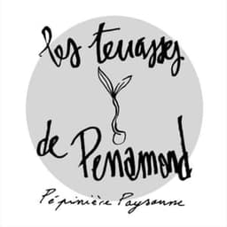 Les terrasses de Perramond #7