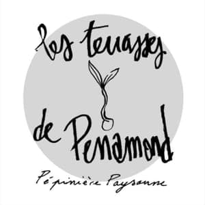 Les terrasses de Perramond