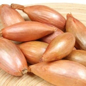 Echalote