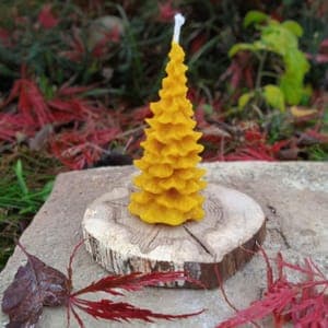 Bougie sapin