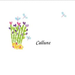 CALLUNE #1