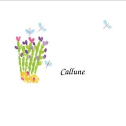 CALLUNE #3