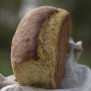 Brioche au levain