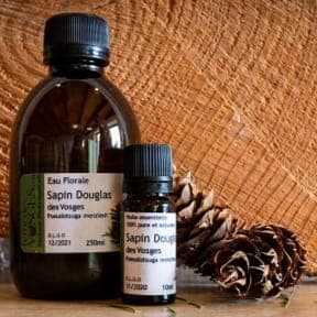 Huile Essentielle : Douglas - Pseudotsuga menziesii
