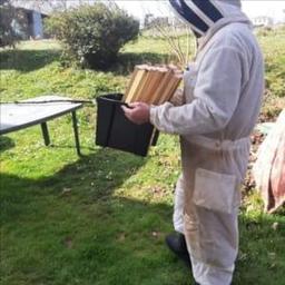 Miellerie de l abeille noire des landes #8