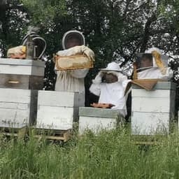 Apiculture RELION-ROUSSEL #7