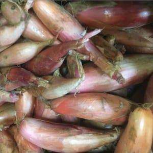 échalion bio