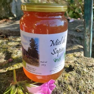 Miel de SAPIN BIO