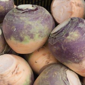 Rutabaga