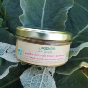 Tartinade de Butternut à la purée de noisette