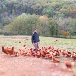 Les Oeufs de la Bancalié #7