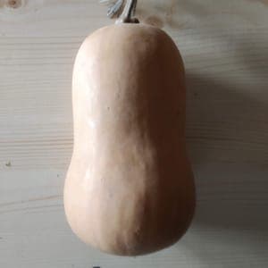 Courge