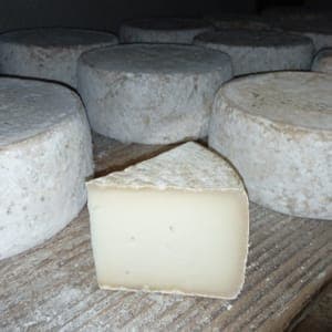 portion tomme de chèvre jeune