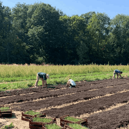 Ferme de Gisy #4