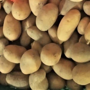 Pomme de terre