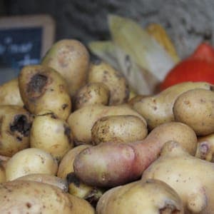 Pomme de Terre Déclassé BIO