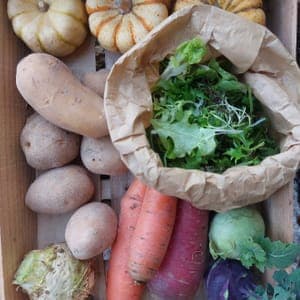petit panier