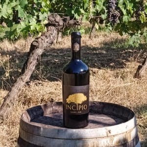 INCIPIO 100% Malbec