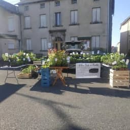 L'ecobulle de Canillac #8