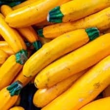 Plant de courgette jaune Gold Rush