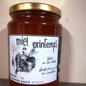 Miel de Printemps - Pot 1kg