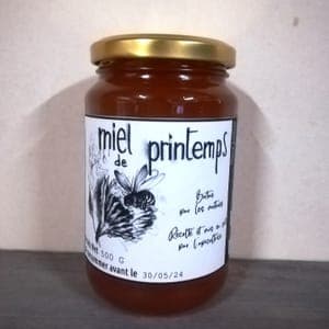 Miel de Printemps - Pot 500g