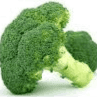 Chou Brocoli