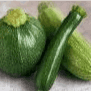 Courgette