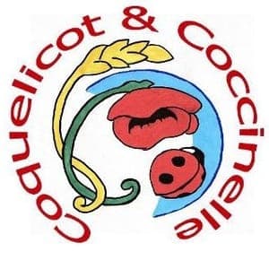 Coquelicot & Coccinelle