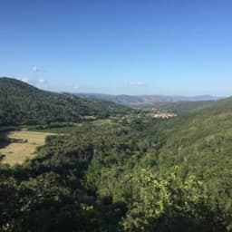 Miel des Bruixes du Conflent #4