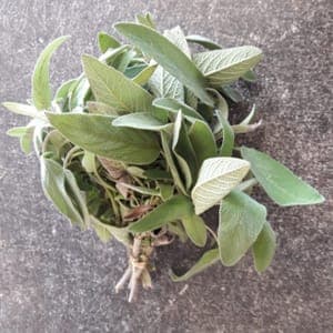Aromatique